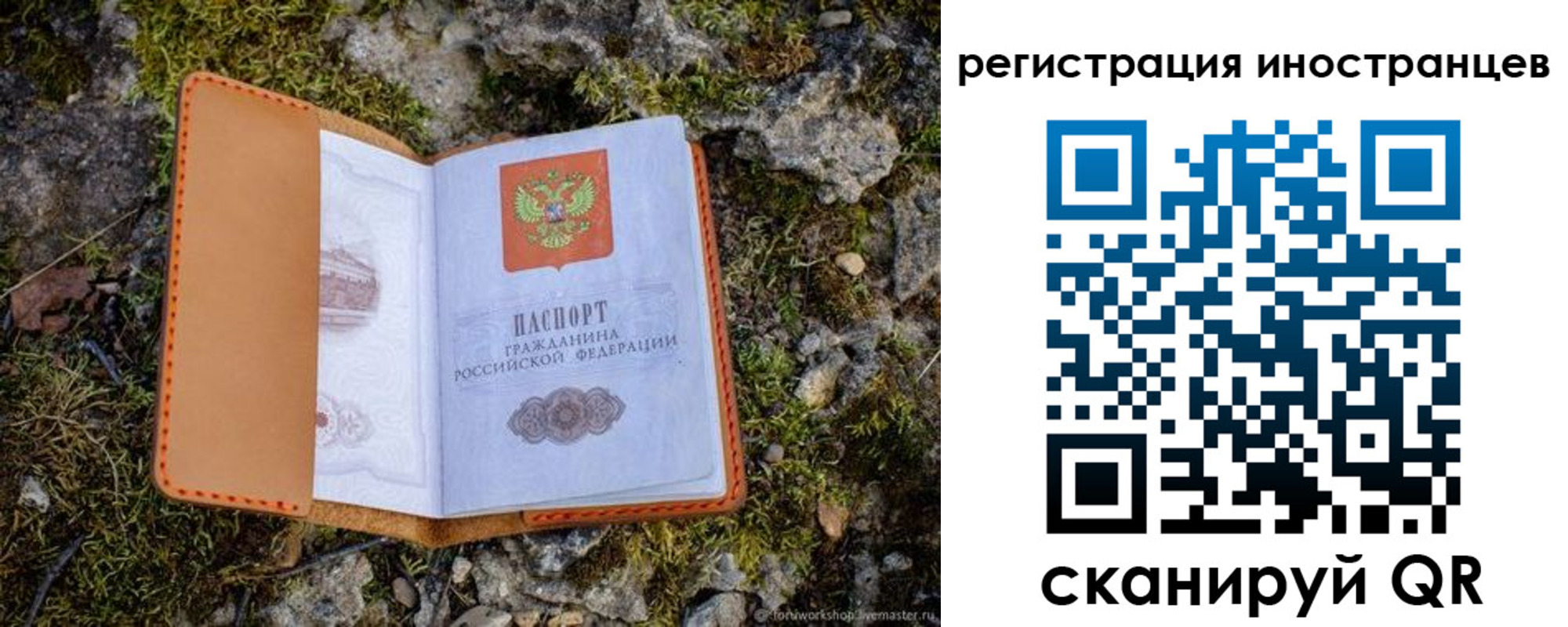 прописка паспорт в Лыткарино